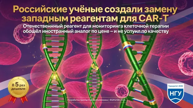 Российские учёные создали замену западным реагентам для CAR-T